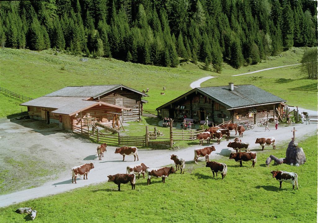 Palfnerhof Appartements Sankt Johann im Pongau Exterior photo