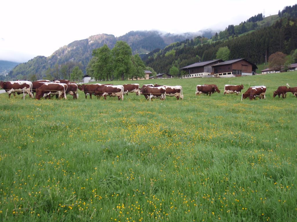 Palfnerhof Appartements Sankt Johann im Pongau Exterior photo